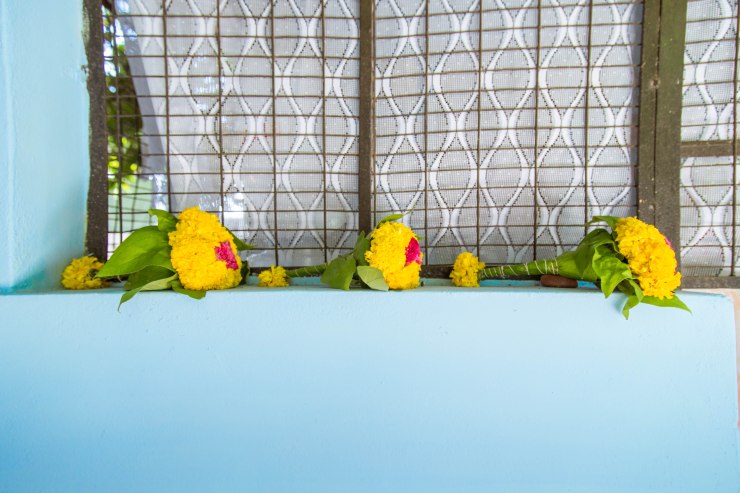 17224049401_e48de55e14_o